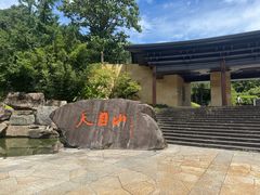 -天目山大树王景区