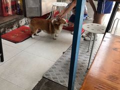 -小梁哥云吞面(黄贝岭店)