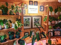 -Rabbit Cafe私房西餐甜点咖啡(栖霞路店)