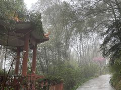 -南山植物园