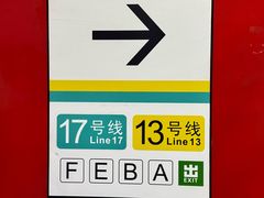 -望京西(地铁站)