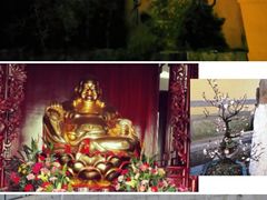 -汤山公园