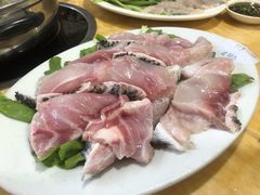 -金砂阿洲鱼册店