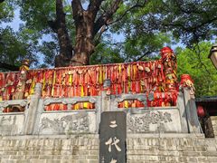 -大槐树寻根祭祖园