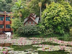 -野象谷景区