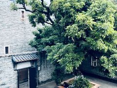 -碧江金楼