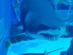 -成都浩海立方海洋公园