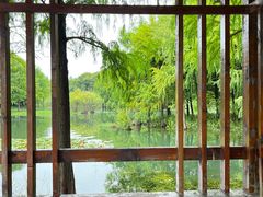 -贡湖湾湿地公园