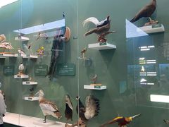 -国家自然博物馆