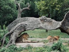 -杭州野生动物世界