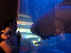 -成都浩海立方海洋公园