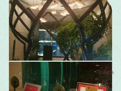 -翡翠36餐厅(浦东香格里拉店)