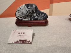 -安徽省地质博物馆
