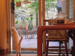 -懒鱼时光馆(沙坪坝店)