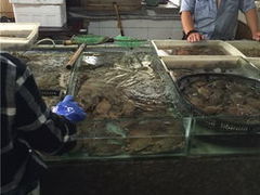 -石塘路海鲜市场(草厂中路店)
