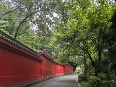 -峨眉山报国寺