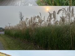 -中国天府农业博览园