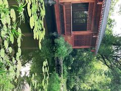 -深圳国际园林花卉博览园