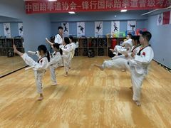 -嗨动跆拳道体能馆(菜百店)