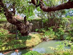 -Chom Cafe and Restaurant