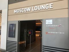 -谢列梅捷沃国际机场