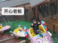 -梦幻奥陶纪景区