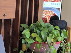 -湘水滨·臭鳜鱼·湘菜(马驹桥店)