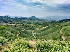 -西贝莜面村(上海百联西郊店)