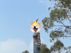 -火炉山森林公园