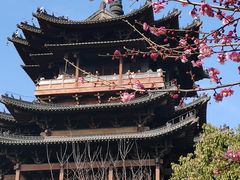 -杭州半山国家森林公园