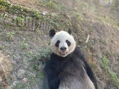 -泉州海丝野生动物世界