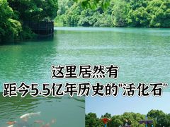 -白马涧龙池景区
