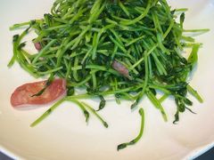 鸡油腊味炒豆苗-潮界(大学路店)
