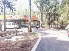 -东平国家森林公园