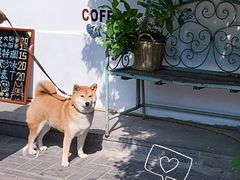-VOYAGE COFFEE(北锣鼓巷店)