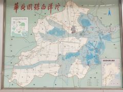 -白洋淀景区