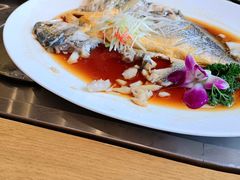-百年家风·老馆子(东风店)