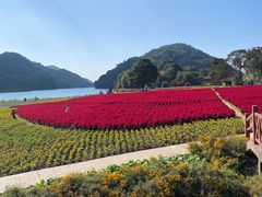 -广州市石门国家森林公园