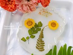 -金豆子幼稚园