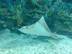 -福州罗源湾海洋世界旅游区