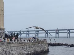 -黑石礁公园