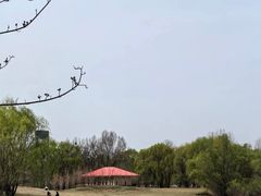 -长白岛森林公园