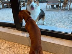 -J Create城市露营咖啡·简餐·宠物(上海动物园店)