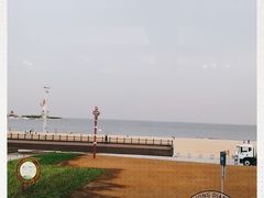 -港畔赶海蒸汽海鲜烧烤自助(仙螺岛店)