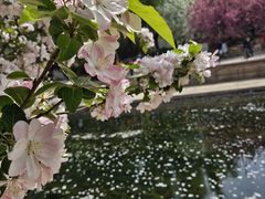 -海棠花溪(元大都城垣遗址公园)