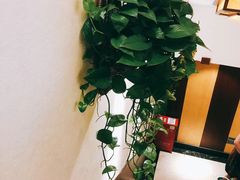 -眉州东坡(中日友好医院店)
