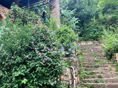 -远山有窑