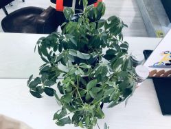 -起点潮色造型