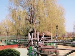 -羊亭河湿地公园