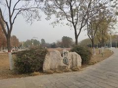 -石家庄市植物园